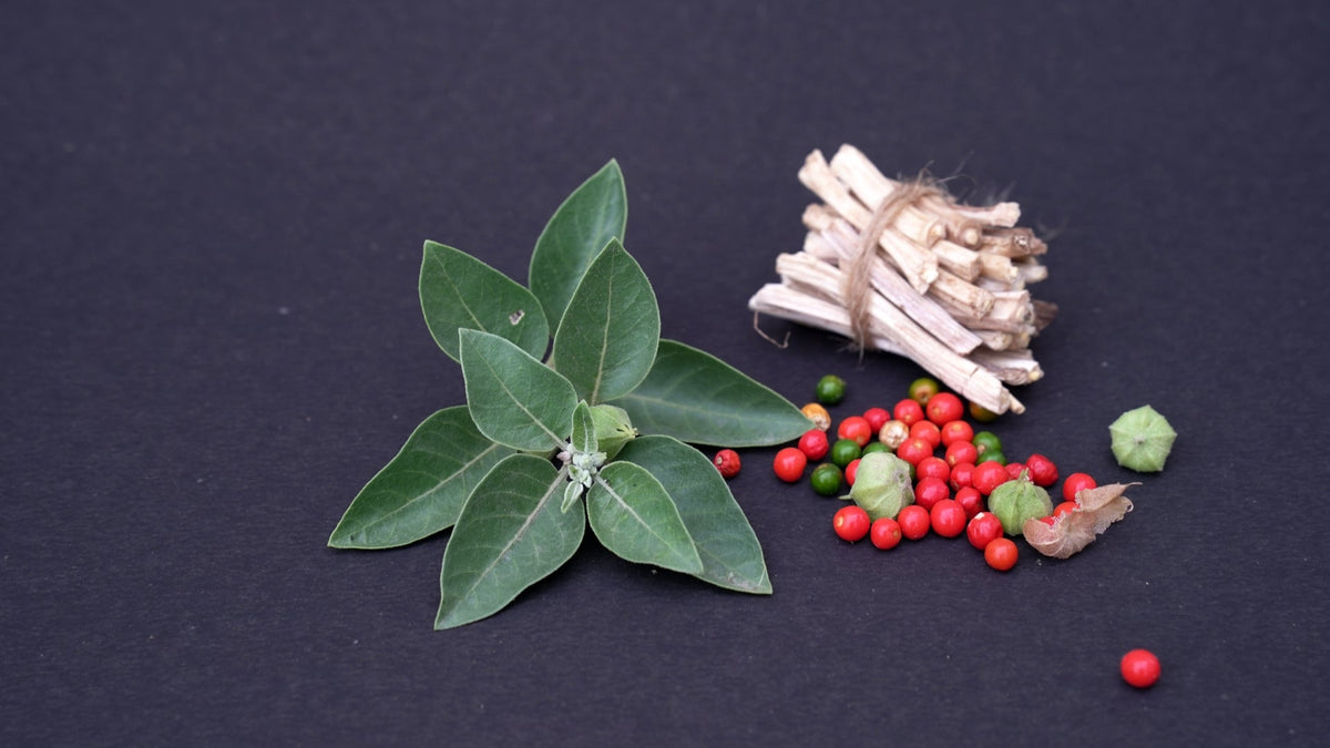 Ashwagandha Gummies: Uses & Benefits - Teddi Lab by Unichi