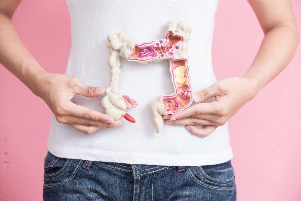 gut health supplements