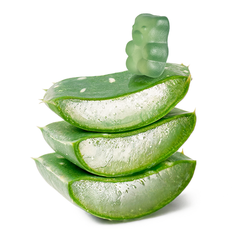 Aloevate™ Gummy