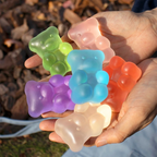Blind Box Teddi Squishy