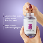 Teddi Lab Ashwagandha Gummy [EXPORT ONLY]