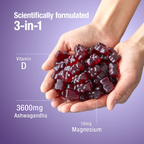 Teddi Lab Ashwagandha Gummy [EXPORT ONLY]